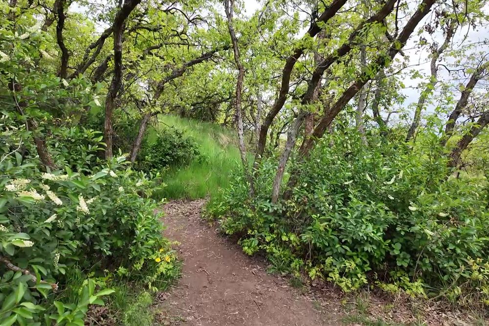 Ogden&rsquo;s river parkway & mountain trails &mdash; Weber County, Utah